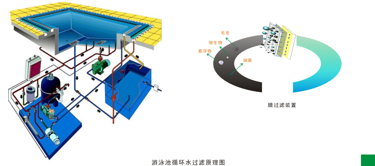 游泳池(chí)水循环净化处理工(gōng)程
